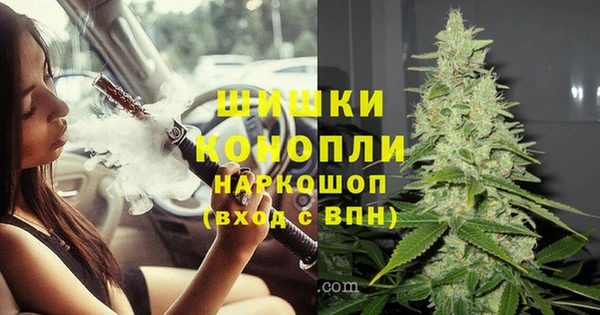 меф Арсеньев