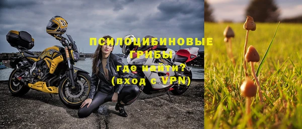 меф Арсеньев