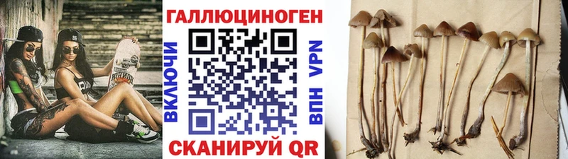 где найти наркотики  Бобров  Галлюциногенные грибы ЛСД 